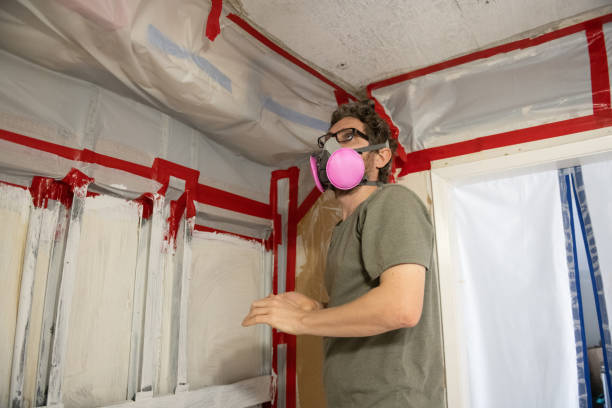 Best Crawl Space Mold Remediation  in Genesee, CO