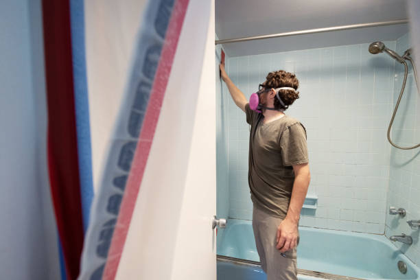  Genesee, CO Mold Removal Pros
