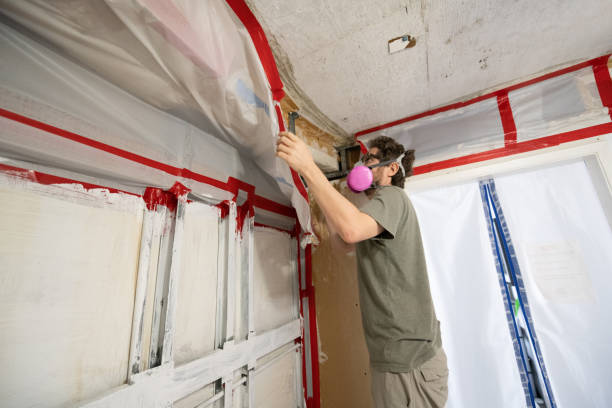 Best Water Damage & Mold Remediation  in Genesee, CO