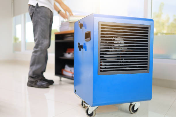 Best Commercial Mold Inspection  in Genesee, CO