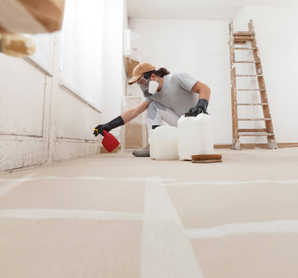 Best Mold Remediation for Healthcare Facilities  in Genesee, CO